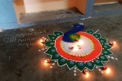 IMG_20241029_123431-scaled