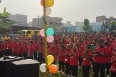 IMG_20241114_094116-1-scaled